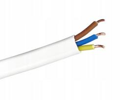 Przewód Kabel Płaski 450/750V Ydyp 3X2,5Mm2 50M