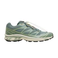 Salomon XT-6 'Laurel Wreath' 47