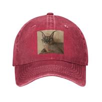 Studious Big Floppa Denim Fabric Cap Casual Baseball Caps Adjustable Hat Summer Unisex Baseball Hats One Size