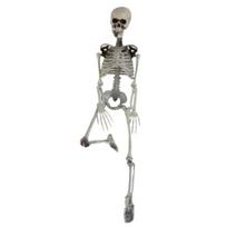 90 cm imitacinis žmogaus skeleto ornamentas Helovino vakarėlio baras Haunted House Rekvizitas balta
