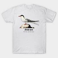 Men Black Print T-shirt Arctic Tern No-Cut Transfer Paper Print Cotton Tshirt 2XL balta