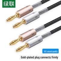 UGREEN Pro Hi-Fi Dual Channel Banana Plug Speaker Cable