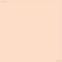 LUNA Blur Cover Cushion Main 12g + Refill 12g SPF40 PA++ (+Free gift) 0.7 Ivory