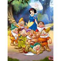 Disney deimantinės tapybos Snieguolė Klasikinis grupės portretas Iliustracija 5D Pasidaryk pats deimantinės tapybos siuvinėjimo rinkinys Apvalus/kvadratinis deimantų meno mozaika Namų dekoras Round 20x30cm gray