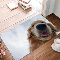 Multi Pattern Non-Slip Waterproof Doormat Easy Clean Entrance Floor Mat Home Decor Durable Minimalism So Fashion and Beautiful 40cm x 60cm