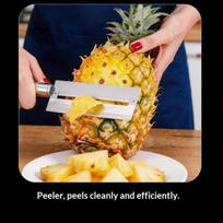 Kitchen Stainless Steel Pineapple Peeler Set For Fruits Kitchen Gadgets Accessories 1set