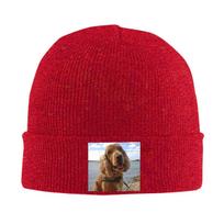 Funny Cool Cocker Spaniel Dog Animal Warm Knitted Cap Hip Hop Bonnet Hat Autumn Winter Outdoor Beanies Hats for Unisex Adult One Size