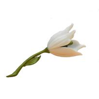 Vintage White Tulip Flower Brooch - European, American, Japanese & Korean Design žalia