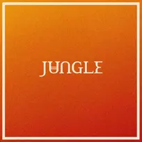 Jungle - Volcano (vinilinė plokštelė, LP)