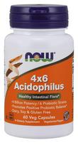 NOW Foods Acidophilus 4X6 – 60 kapsulių