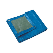 Apsauginis tentas Elem Technic, 2 x 3 m - 240 g/m²