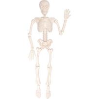 Smėlis formuoja žmogaus skeletą