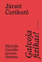 El. knyga Galvoja fizikas! Ričardo Gavelio prozos sistema - Jūratė Čerškutė