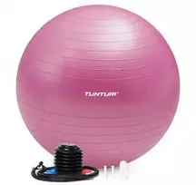 Gimnastikos kamuolys Tunturi Gymball 65–75 cm, Violetinė, Anti Burst (Diametras: 65 cm)