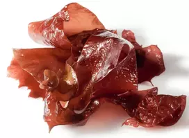 Ekologiškos džiovintos jūros daržovės DULSE (dribsniai) - 200 g