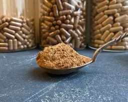 Ekologiški tikriniai blizgučiai (reishi) - grybų milteliai - 1kg