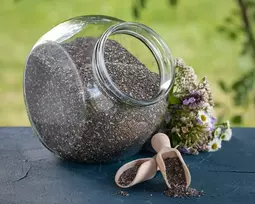 Ekologiškos ispaninio šalavijo (chia) sėklos - 1kg