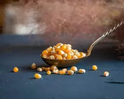 Ekologiški kukurūzai spragėsiams (Popcorn) - 400g