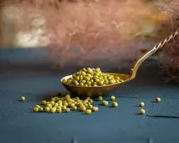 Ekologiškos spindulinės pupuolės (Mung) - 500g