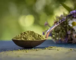 Ekologiški matcha žaliosios arbatos milteliai iš Japonijos - 1kg