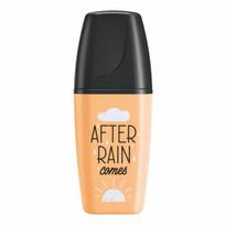 Teksto žymeklis BOSS MINI pastel. šv.oranžinis