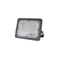 LED prožektorius "Premium" 30W 3000lm 6500K IP65
