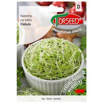 Svogūnų sėklos daigams daržovių sėklos šviežios PREMIUM 10g