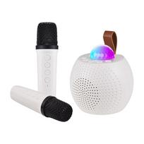 Karaoke Machine Mini belaidžio mikrofono ir garsiakalbių rinkinys su 2 mikrofonais, dovanos gimtadienio vakarėliui balta