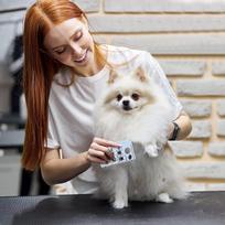 Tick Card Human Tick Card For Humans Tick Tweezers For Dogs Tick Remover For Cats Allows Removal Of English Accessories balta
