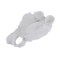Aquarium Cave Tunnel under Gravel Fish Hideout Fish Tank Decoration Natural Curve Hideout for Pleco Shrimp Corydoras Catfish S balta