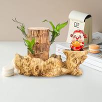 Brazilian Wood Pallet For Holding Water And Soil Root Shaped Wood Resin Tray With Display Table Hydroponic Smart Ornament (Light Yellow,One Size) šviesiai geltonos spalvos