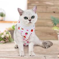 Dog Recovery Suit Onesie After Pet Spayed Neutered Shirt For Female Male Dogs Cats Surgical Postoperative Snuggly Vest For (Hot Pink,S) karšta rožinė spalva