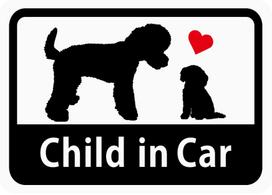 Child in Car  Toy Poodle Parent and Child  Car Sticker