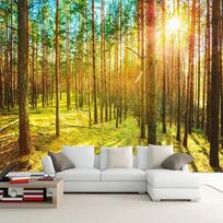 Miško Peizažas Gamta Tapetai Svetainė Miegamasis TV Sofa Fonas Fono Siena Namų Dekoras Freska 200 cm(W) x 140 cm(H)