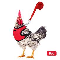 Fashion Chicken Duck Vest Hen Belt Pet Harness Matching Collars Bow Comfortable Leads Mesh Breathable Poultry Supplies Leash (Red,L) raudona