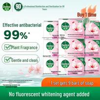 Dettol Moisturizing Antibacterial Soap
