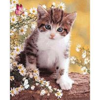 Apvalus deimantinis paveikslas Daisy Cat siuvinėjimas kryželiu Kalnų krištolinio akmens mozaikos namų dekoras 20X30CM