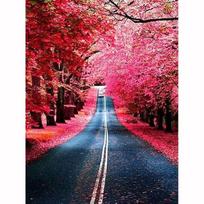 5D DIY Diamond Painting Diamond Embroidery Beautiful Path Full Display circular Picture Of Rhinestones Decor Gift 20X30CM