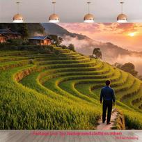 2D Mountain Rice Paddy Backdrop Sunset View Party Photo Background 47.2x31.5inch/120*80cm