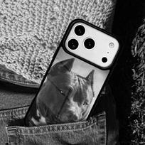 Pitbull Dog mobile phone case Compatible with IPhone 17 16 15 14 13 12 11Pro Max 17 Air cover iPhone 11 Pro Max