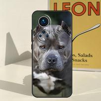 Pit Bull Pitbull Dog Case For Honor X9a X9b X9c X8b X8a X8 X9 50 70 90 Lite Honor 200 Pro Magic 7 5 6 Lite Cover Honor Magic5 Lite