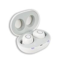 Dual Plus Sound Amplifier With Charger