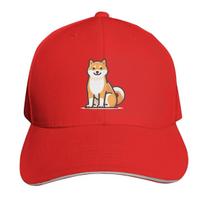 Shiba Inu A Comprehensive Guide Cap Fashion Casual Baseball Caps Adjustable Hat HipHop Summer Unisex Baseball Hats Polychromatic One Size