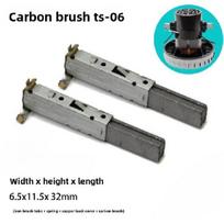 2PCS TS-06 Carbon Brush for Vacuum Cleaner Motor GS-P25 V2Z-P25 V2Z-P22 with Iron Brush Tube