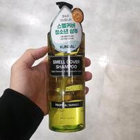 Kundal Odor Cover Teen Scalp Shampoo Tropical Mango Scent 400ml One thing