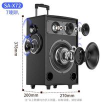 Suoai 8-inch Portable Outdoor Karaoke Bluetooth Trolley Speaker with Dual Mics CN plug (adapter included)