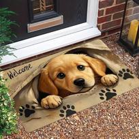2D Pebble Stone Pattern Doormat Non-Slip Entry Floor Mat Cute Footprint Home Decor Rug for Bathroom Welcome Carpet for Entryway 40x60cm