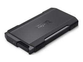 SANDISK Prof. Pro-Blade Transport 1TB | SDPM2NB-001T-GBAND
