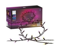 Philips Hue Festavia string lights 250 LED, 20m | 14 W | Variable | 8720169246621