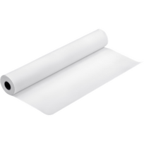 Epson Premium Photo Paper Roll, 610 mm x 30.5 m | Glossy | C13S041638PA